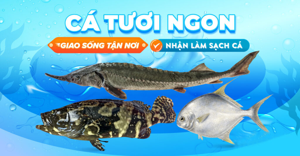 Kho sỉ hải sản đông lạnh