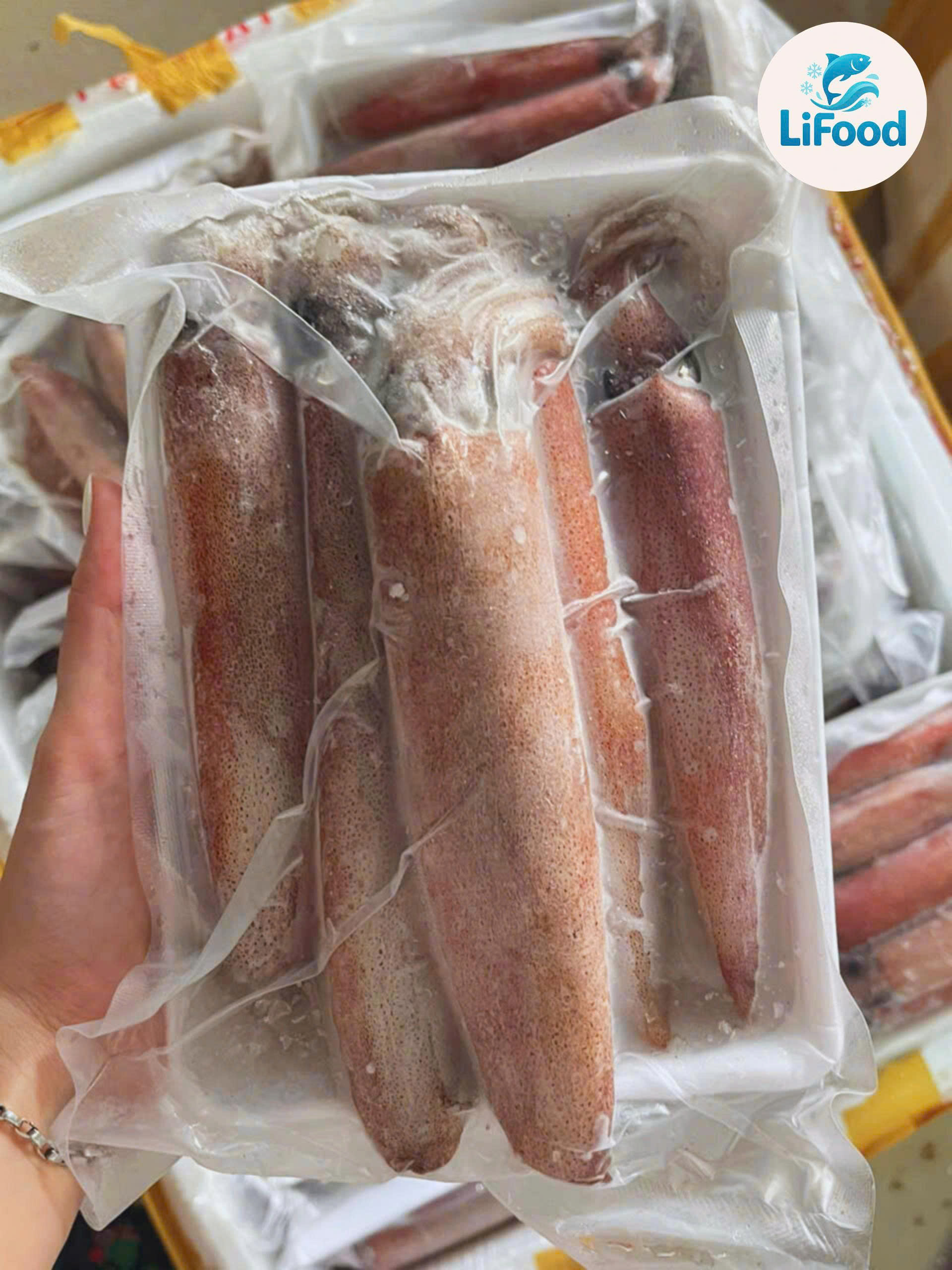 Mực Ống Nháy size 8 / 10-12 / 18-20 con