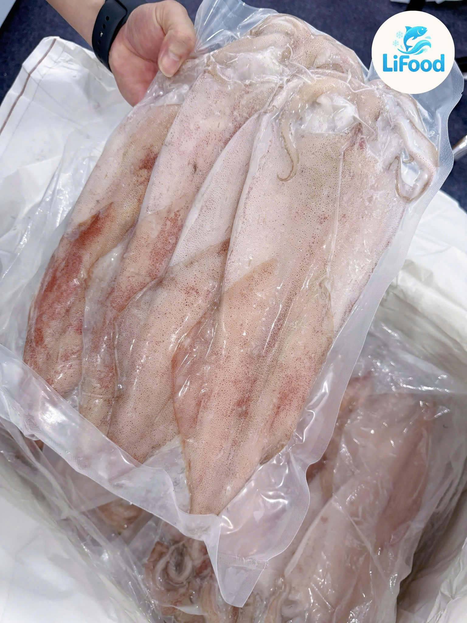 Mực Ống 1 Nắng Sz 4 Con