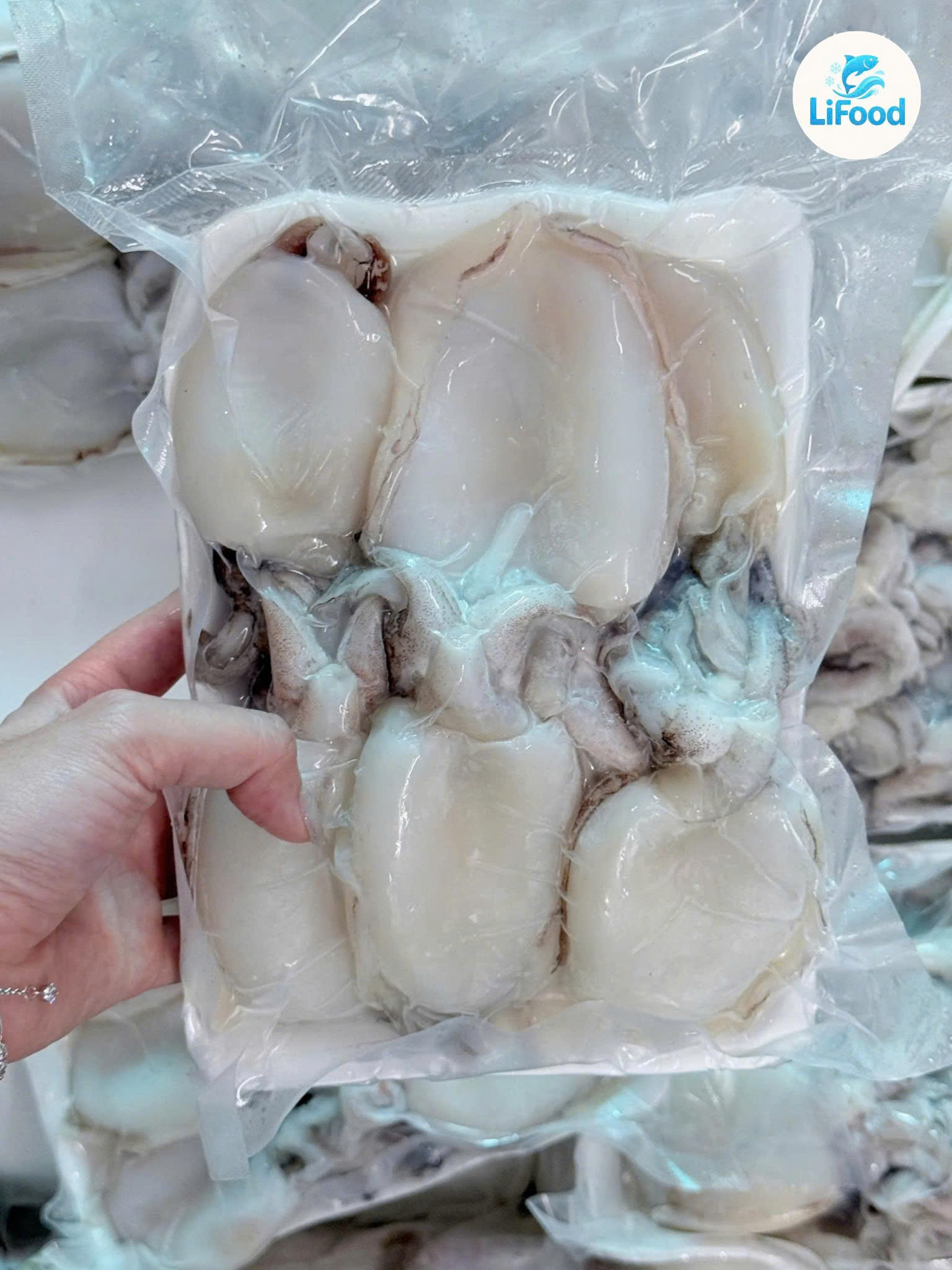 Mực Nang Nút 14/16c