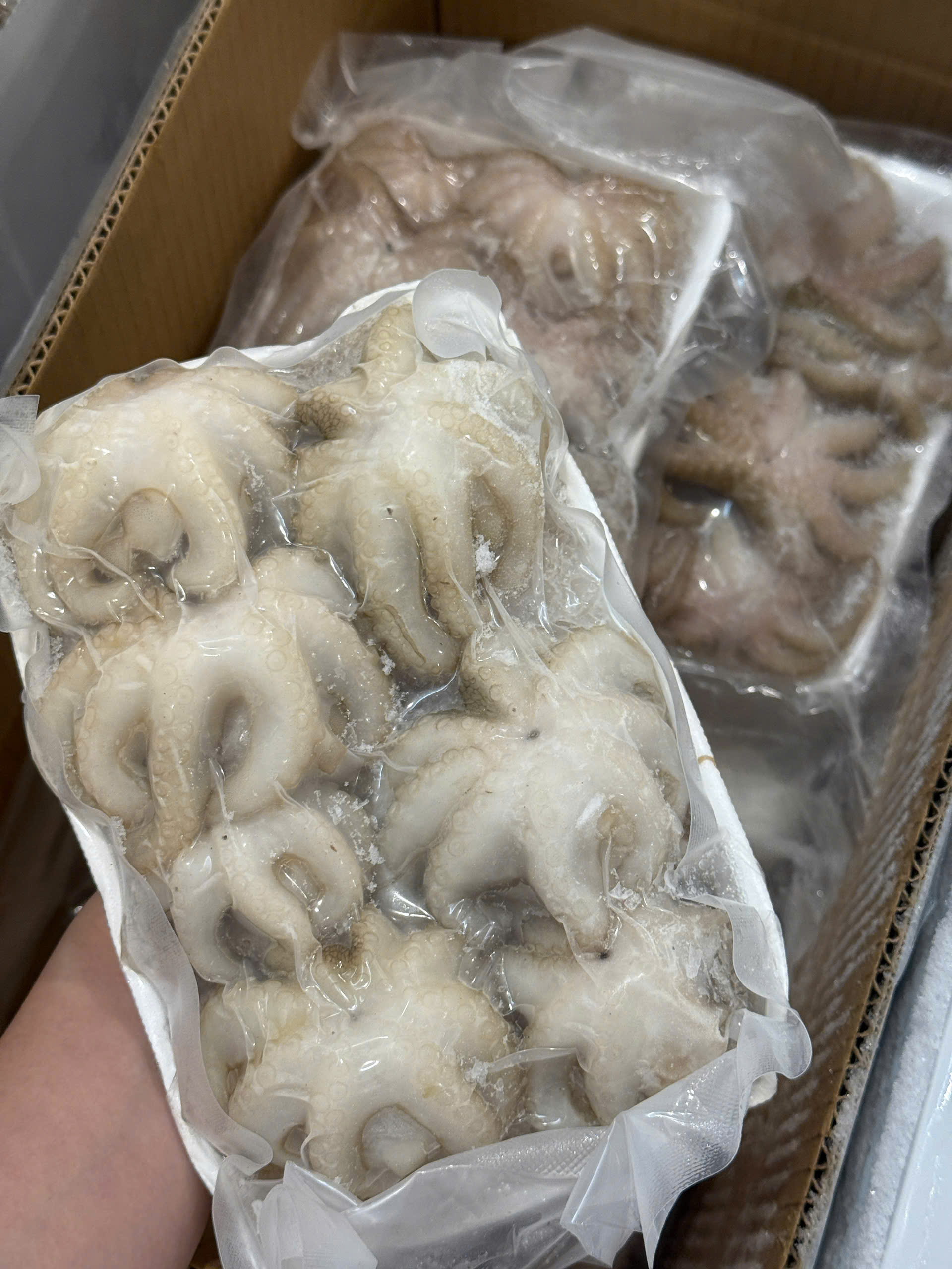 Bạch Tuộc Sữa