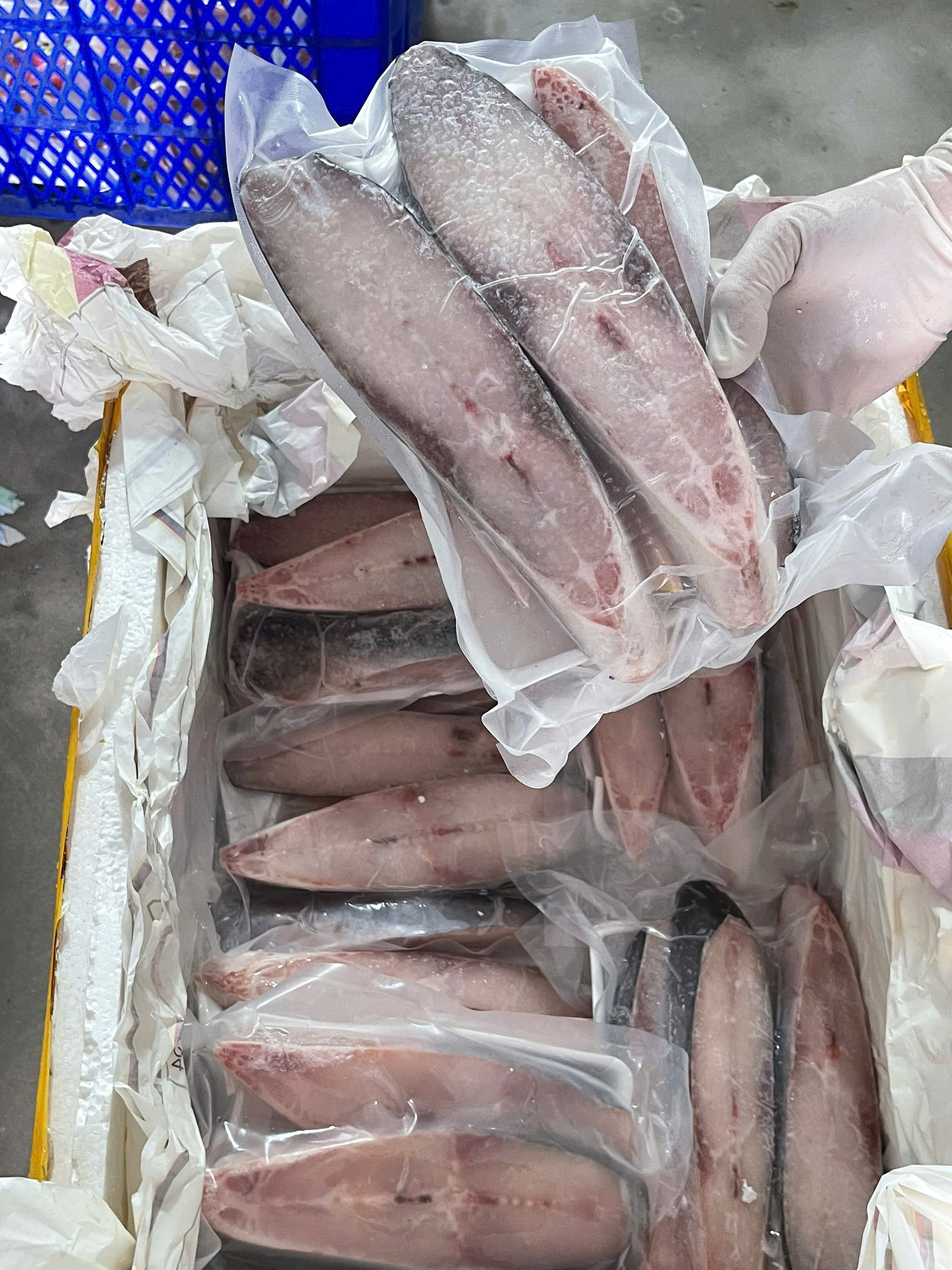 Cá Basa Cắt Khúc