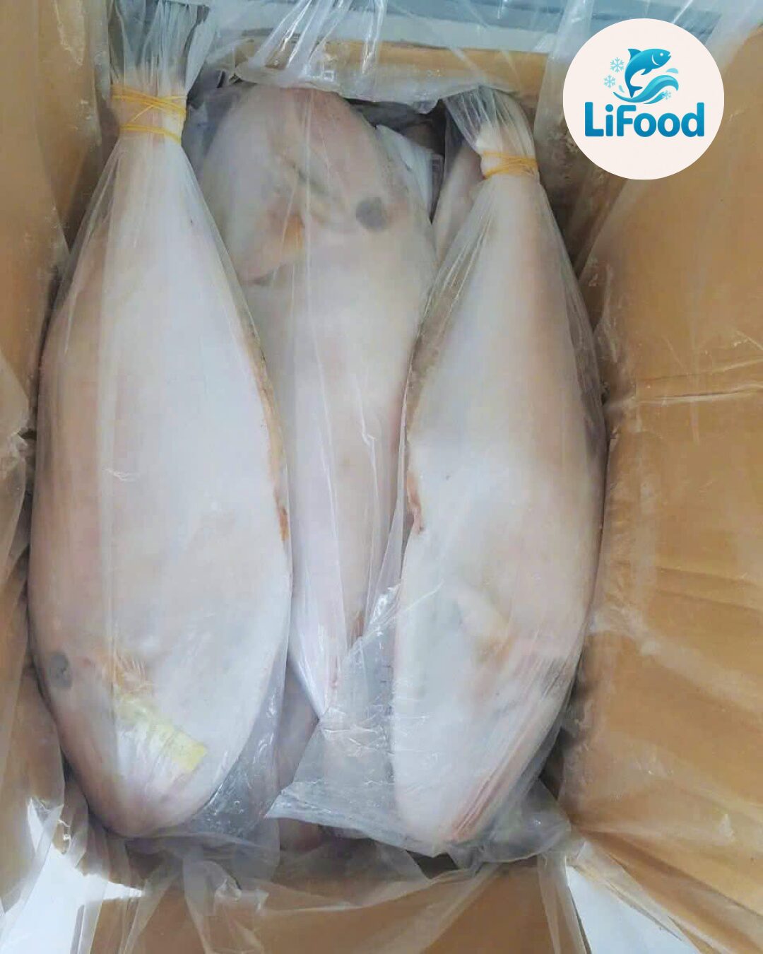 Cá Bò Làm Sạch Size 900/1200 LiFood