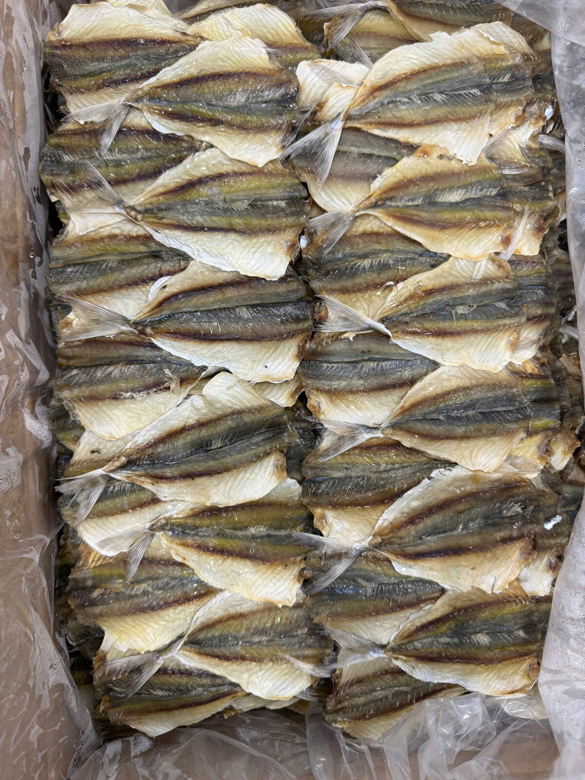 Cá Chỉ Vàng size 90/100 con
