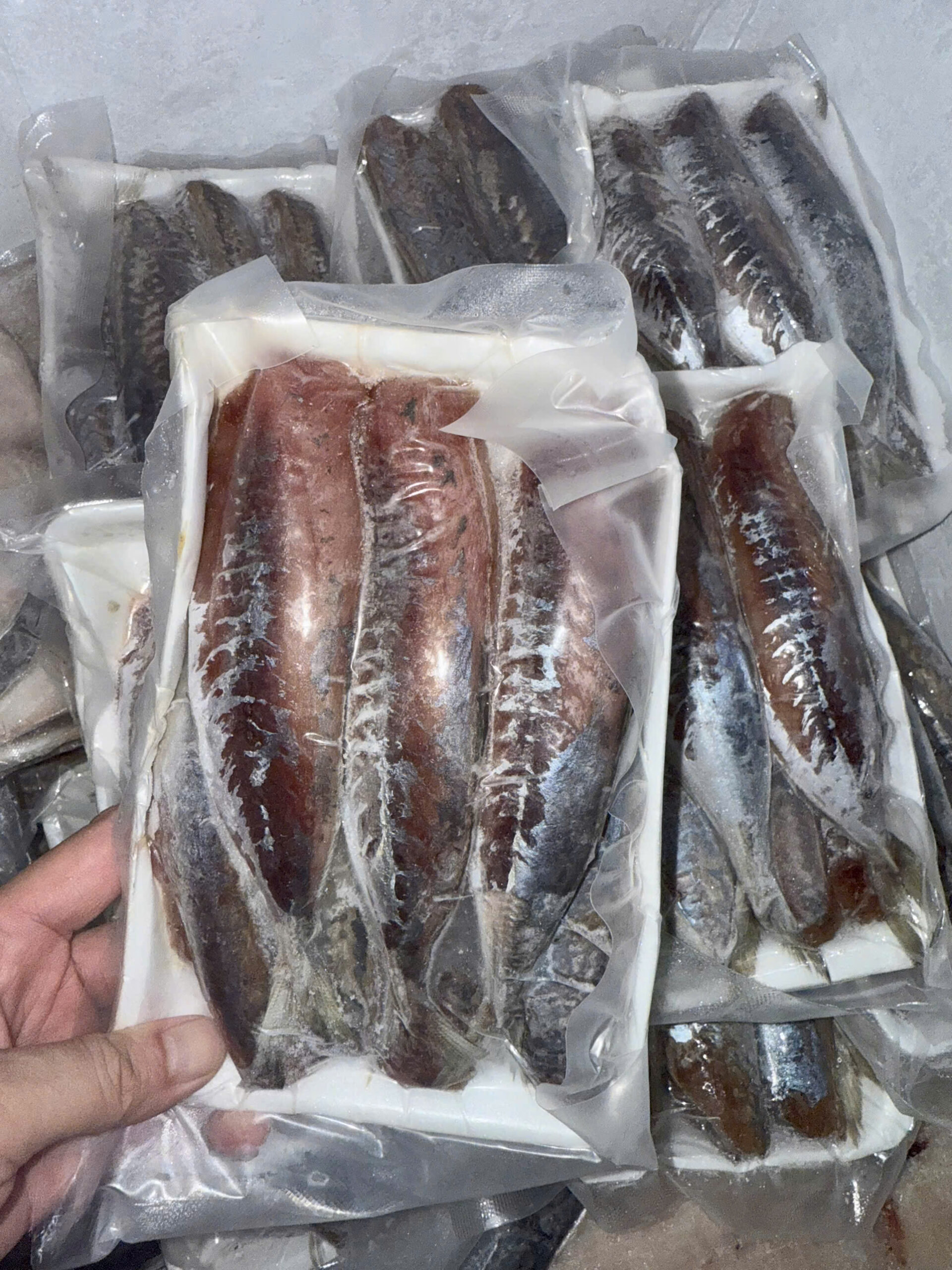 Cá Nục Gai 1 Nắng size 13-14 con/kg