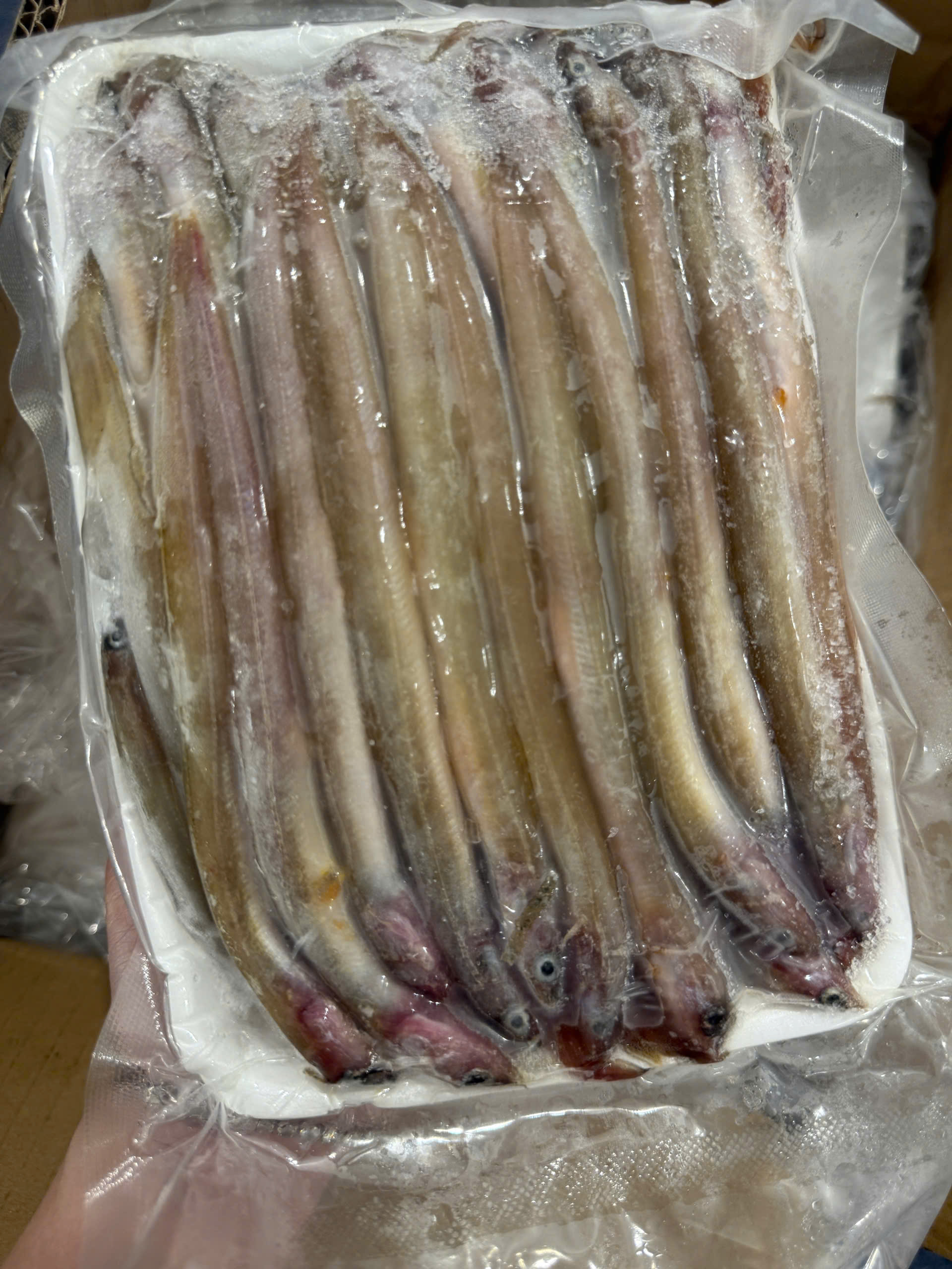 Cá Sụn Vỉ 500gr (có trứng 60%)