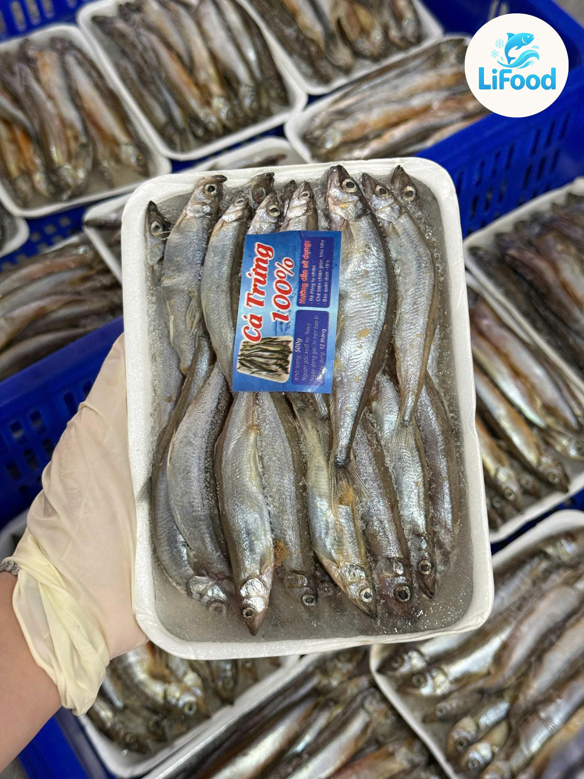 Cá Trứng LiFood