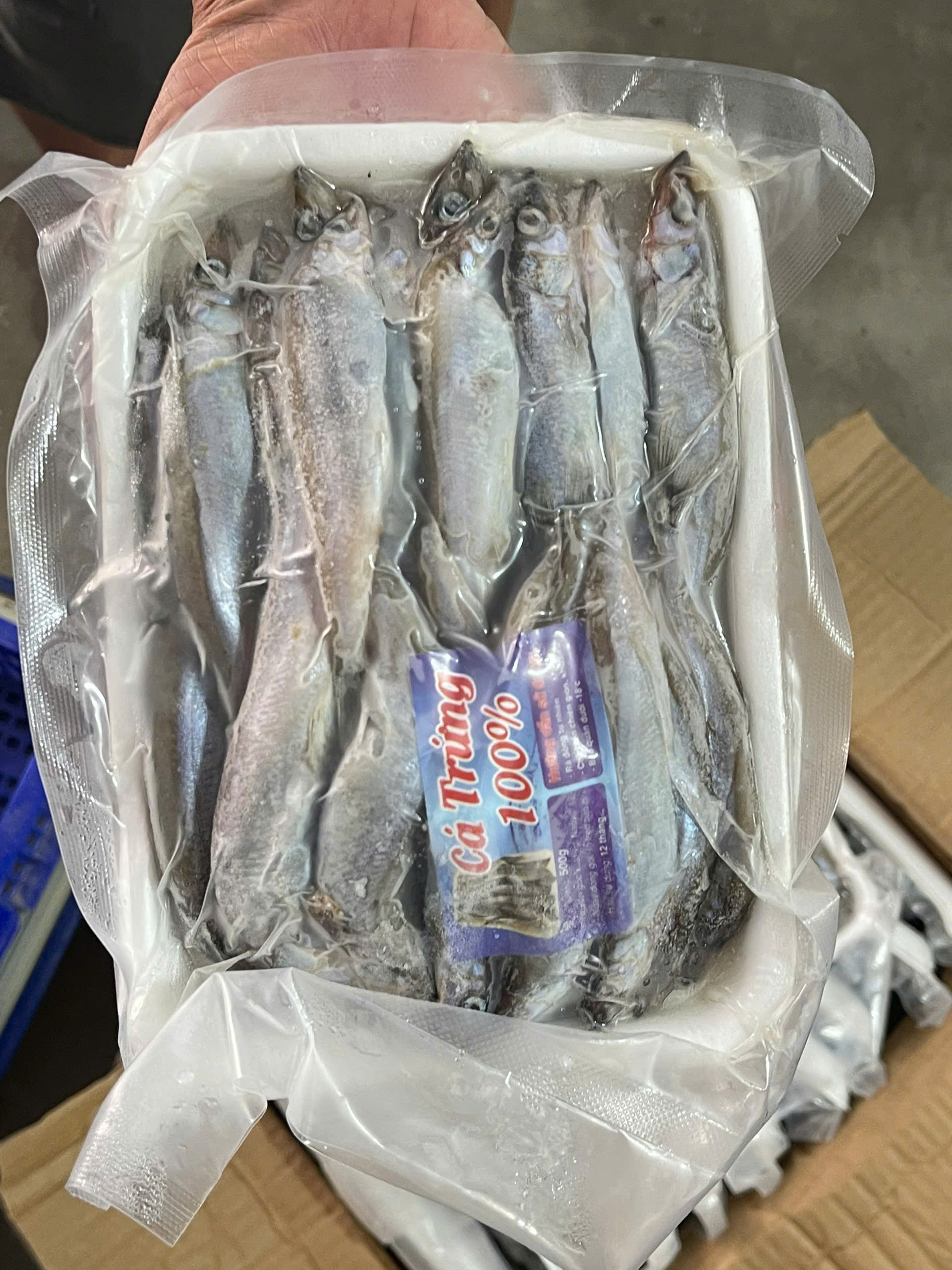 Cá Trứng Net 800G LiFood