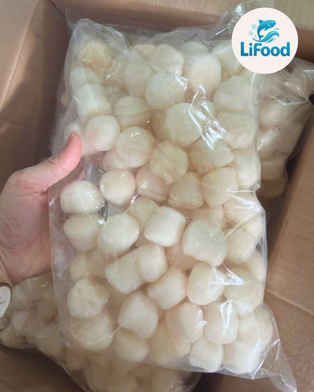 Cồi Sò Điệp Size 60/80 Con LiFood