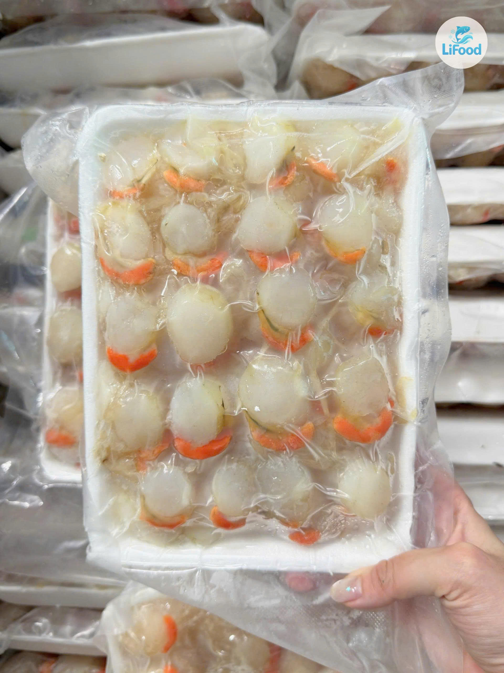 Cồi Sò Điệp – thịt dày, ngọt thanh