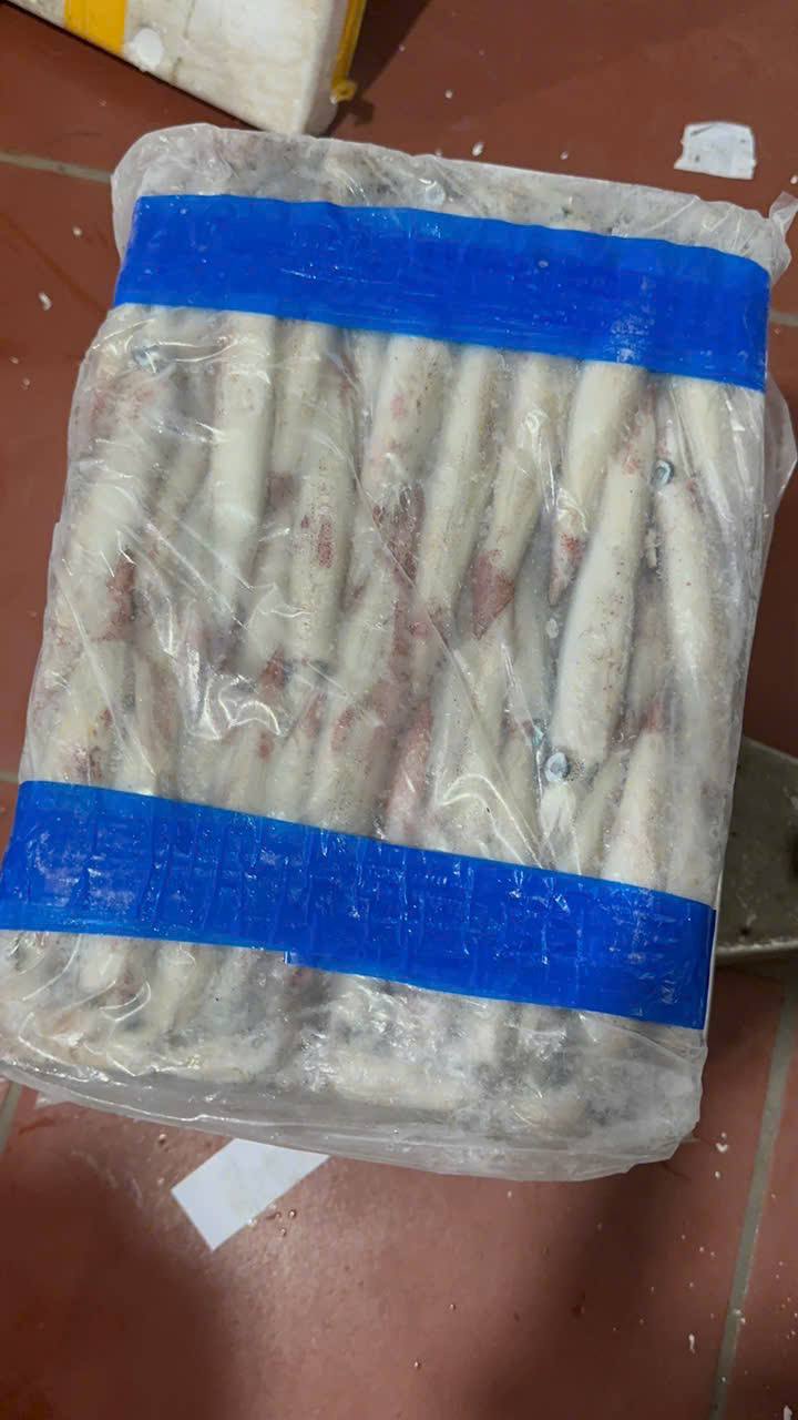 Mực Ghim 15UP B
