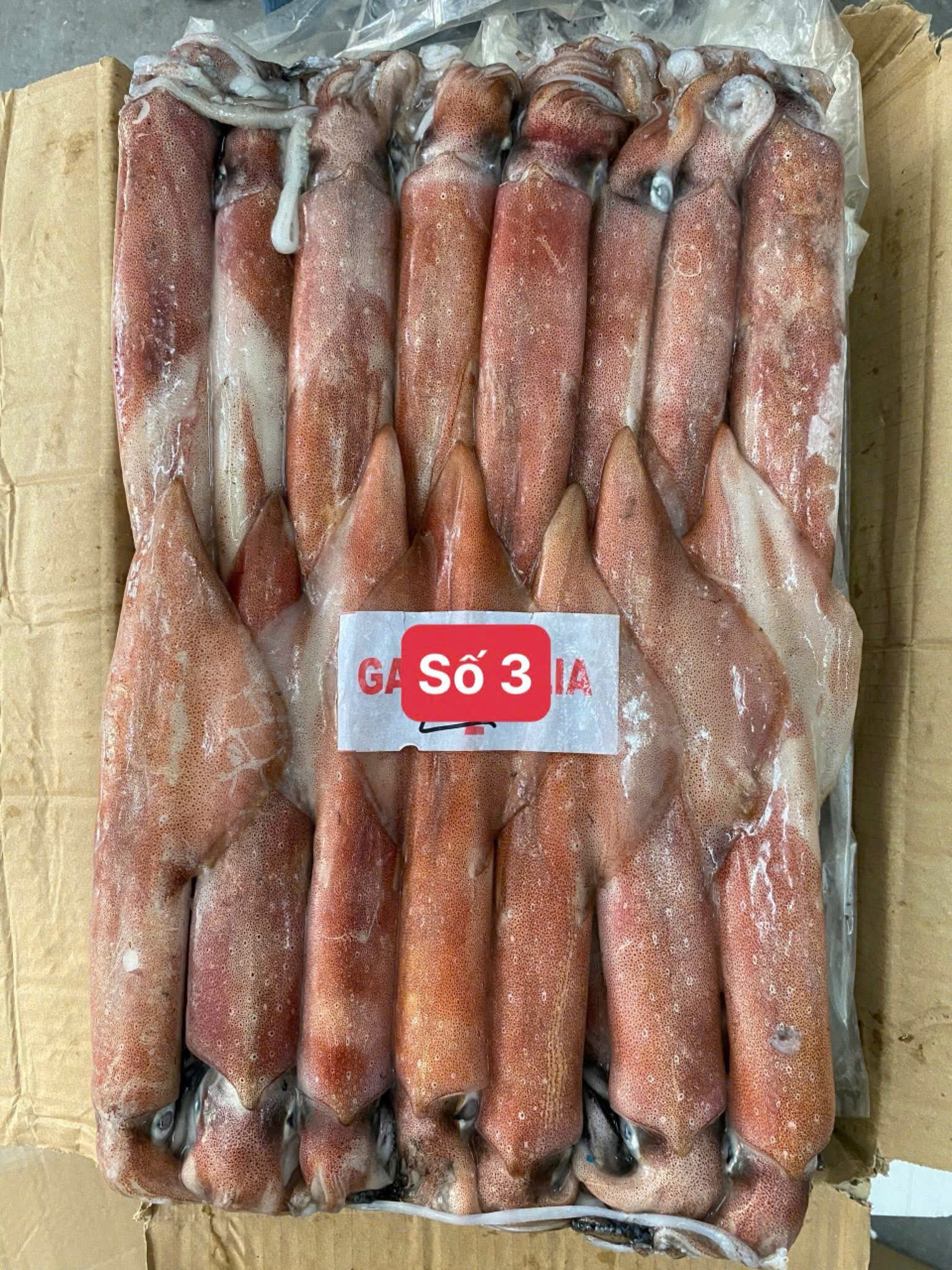 Mực Indo Mặt Trời Đỏ Số 3 Size 6/9 Con