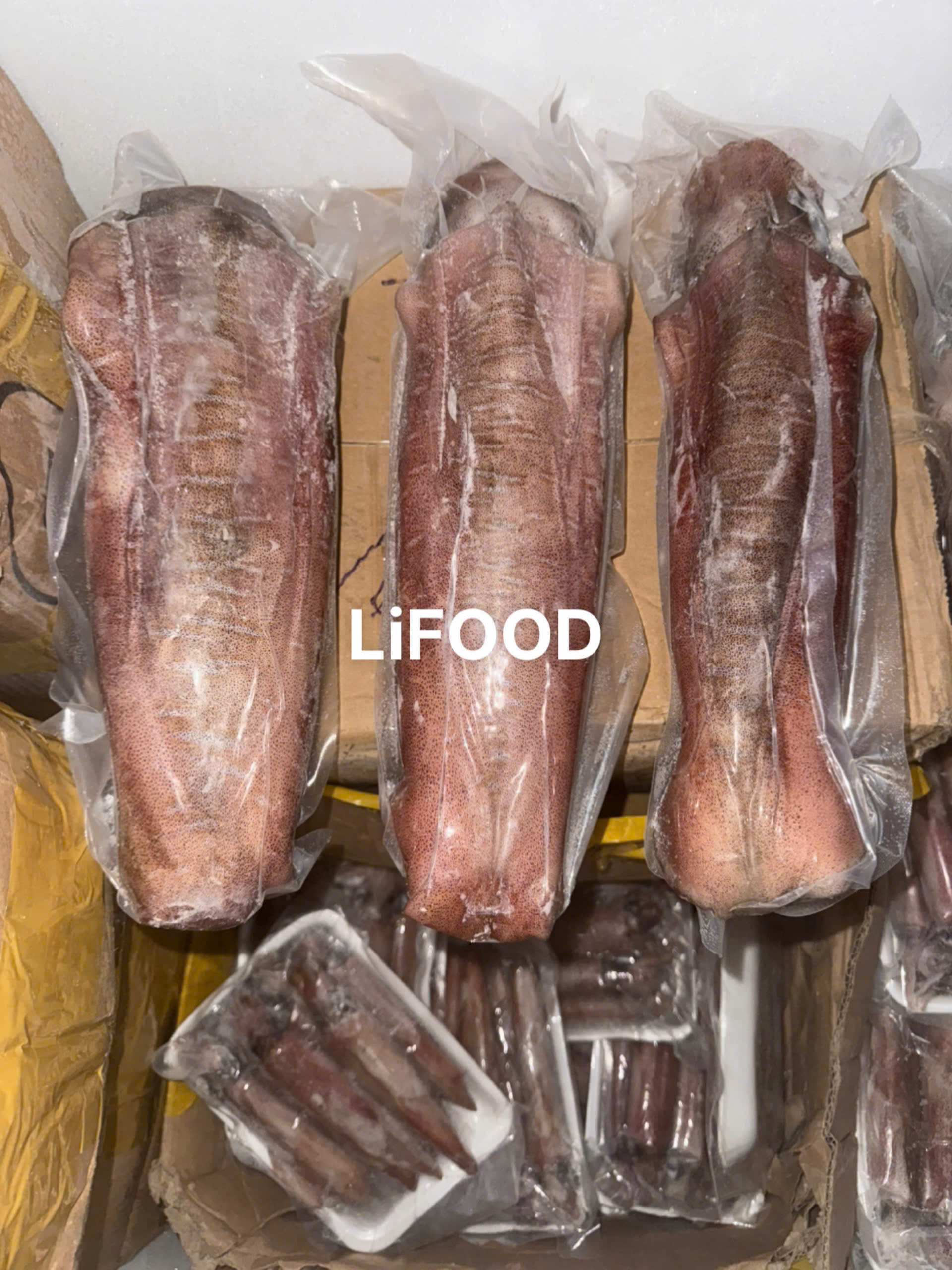 Mực Lá Câu Size 1000