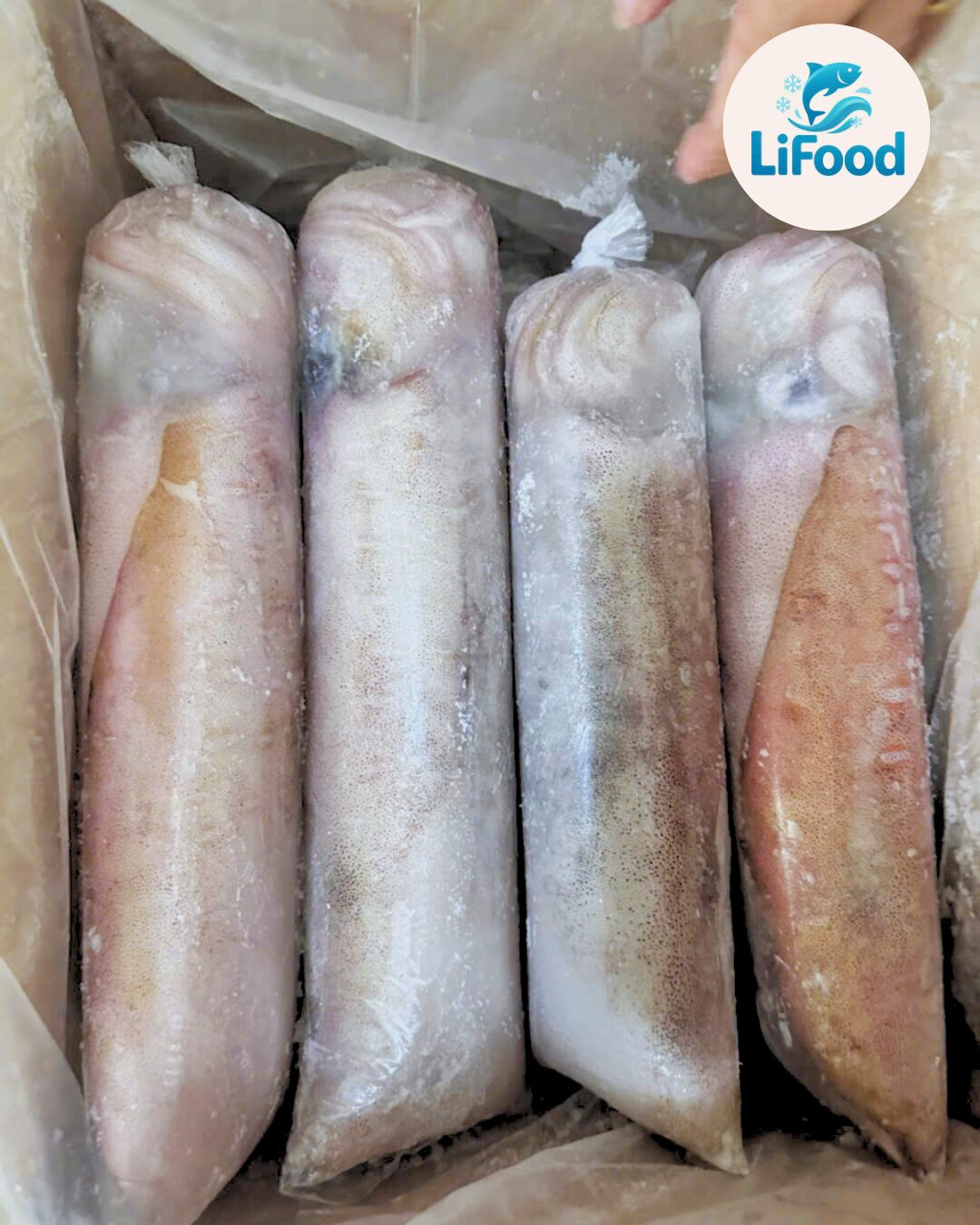 Mực Lá Cuộn Philippines Nét 9 LiFood