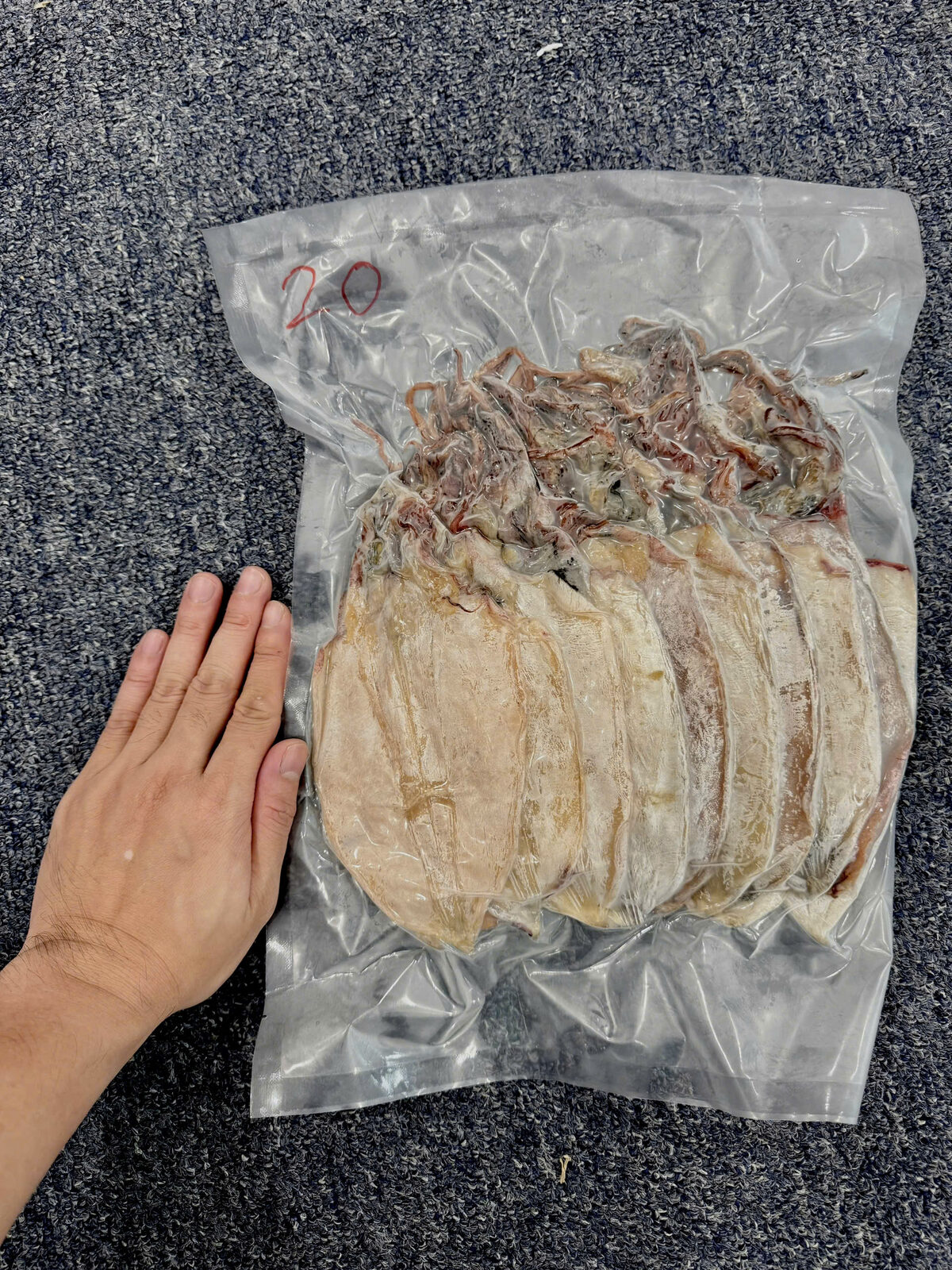 Mực Lá Khô Đại Dương