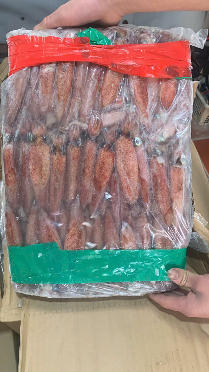 Mực Mắt To Size 6/10, 8/10