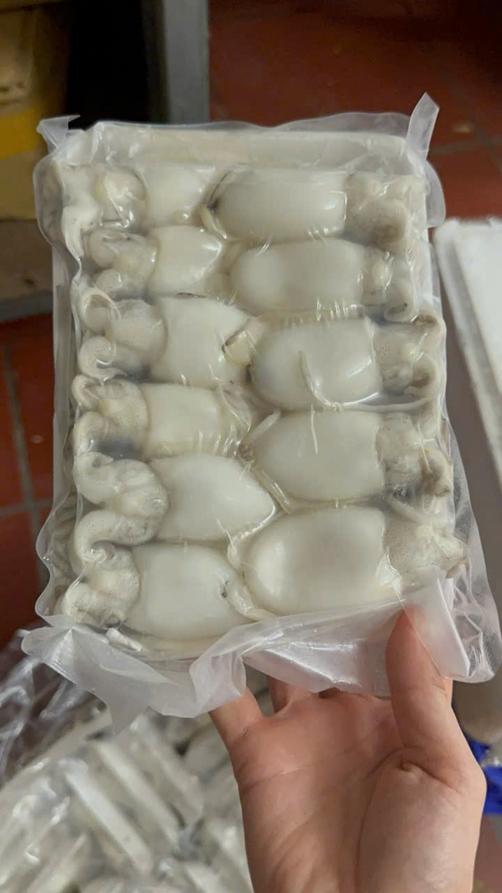 Mực Nang Baby