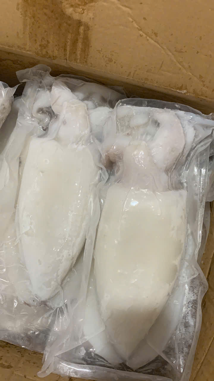 Mực Nang Size 1000-2000up