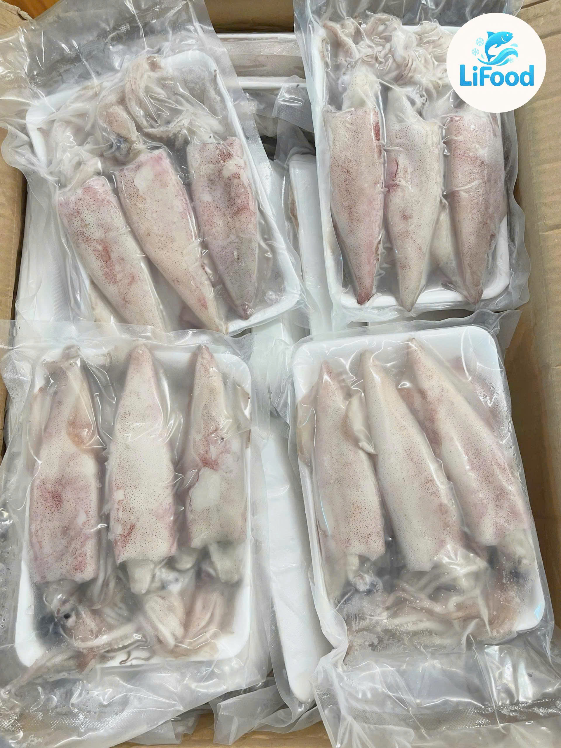 Mực Ống Chã