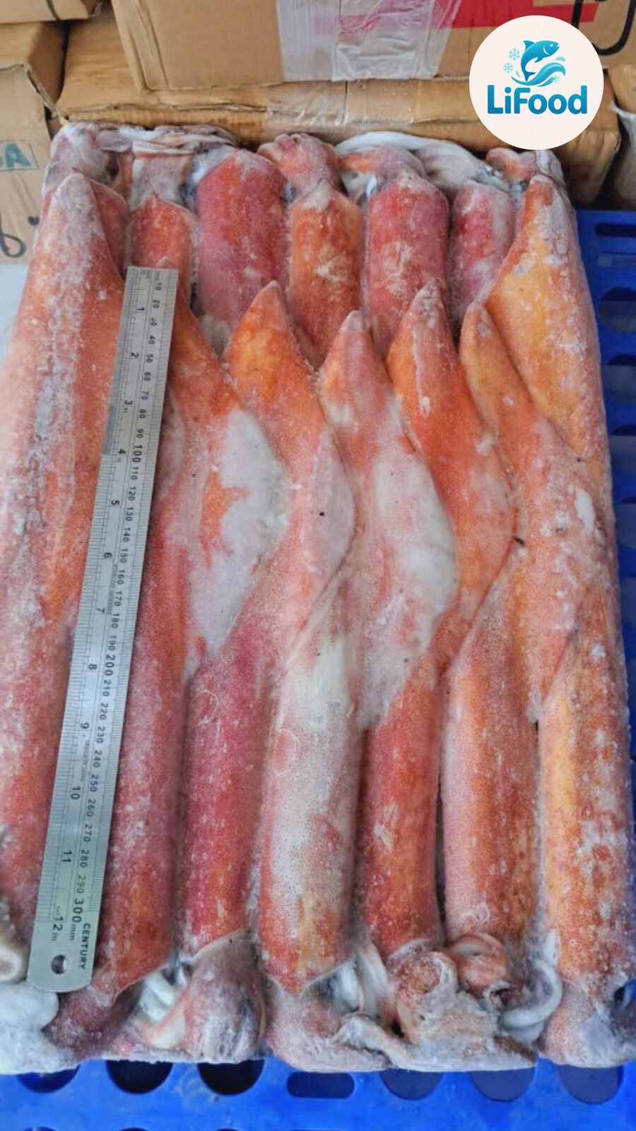 Mực Ống Indo 2A Dày Mt Rsa LiFood