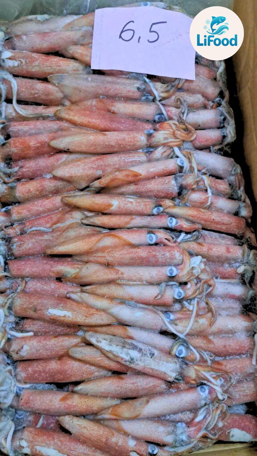 Mực Ống Indo 6.5 LiFood