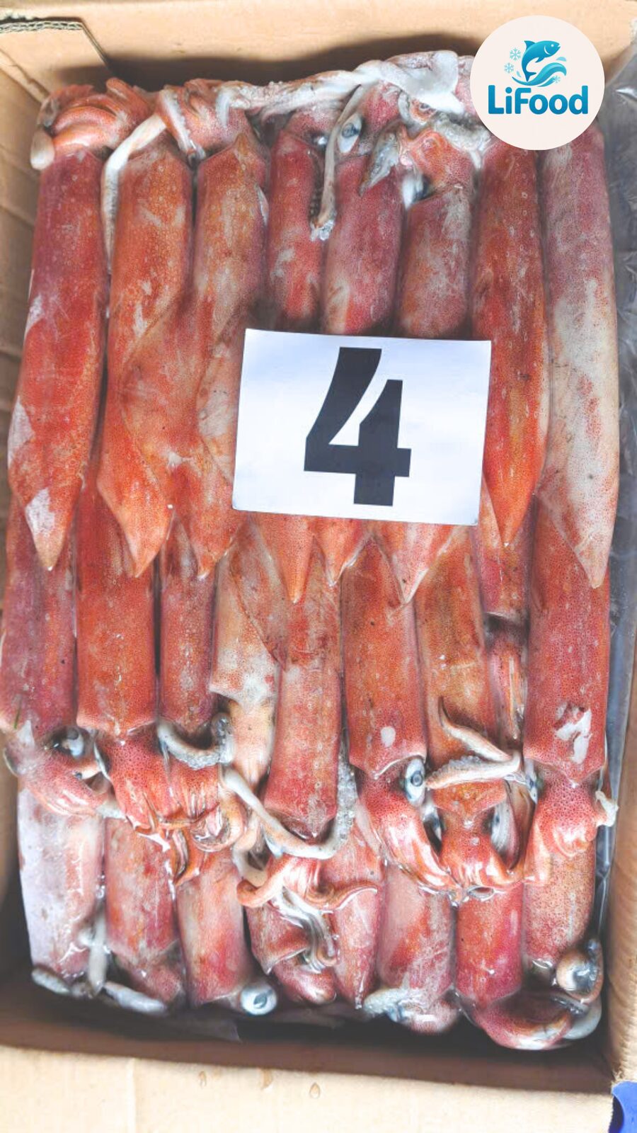 Mực Ống Indo Số 4 LiFood