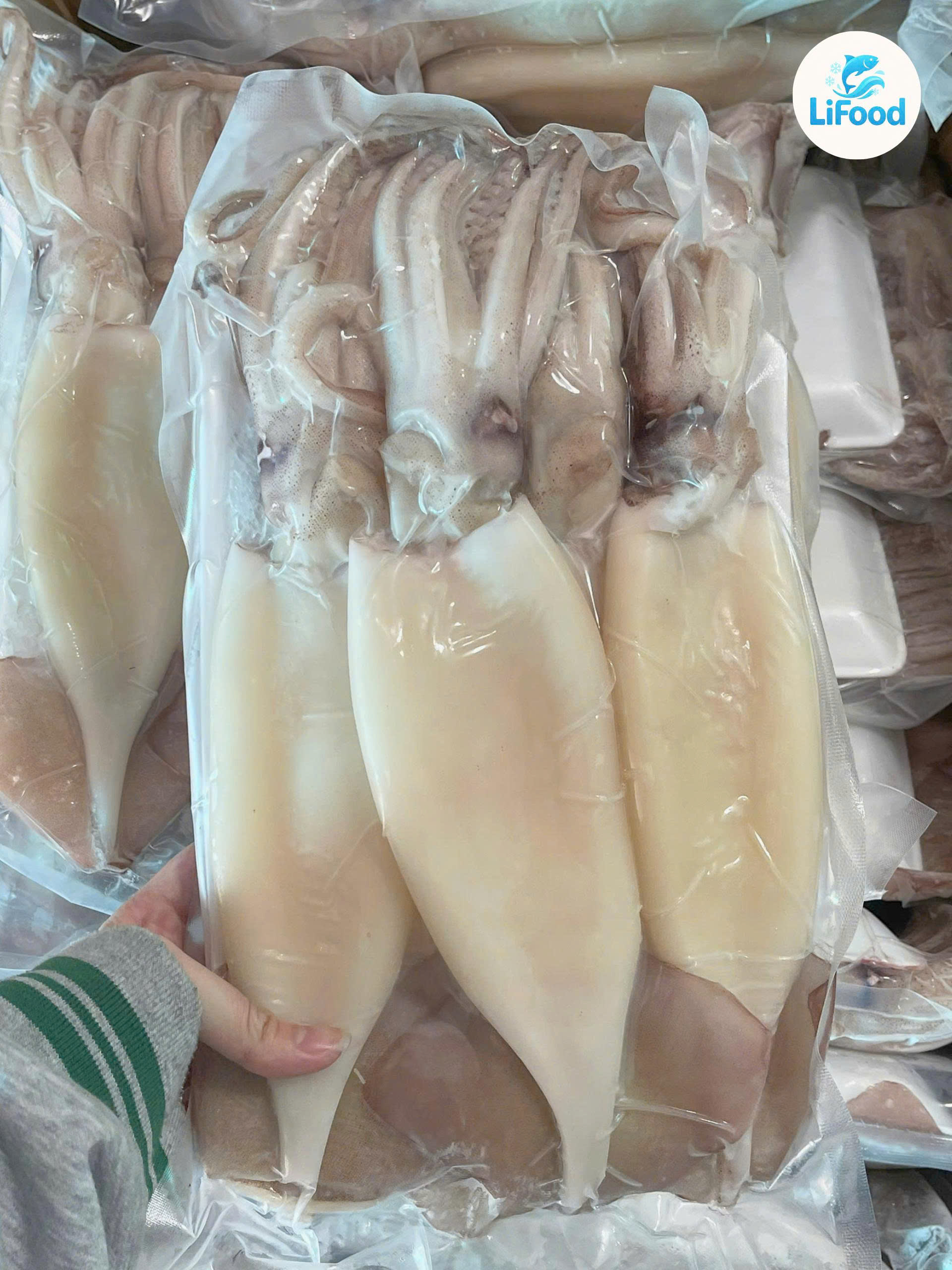 Mực Ống Làm Sạch Nét 9