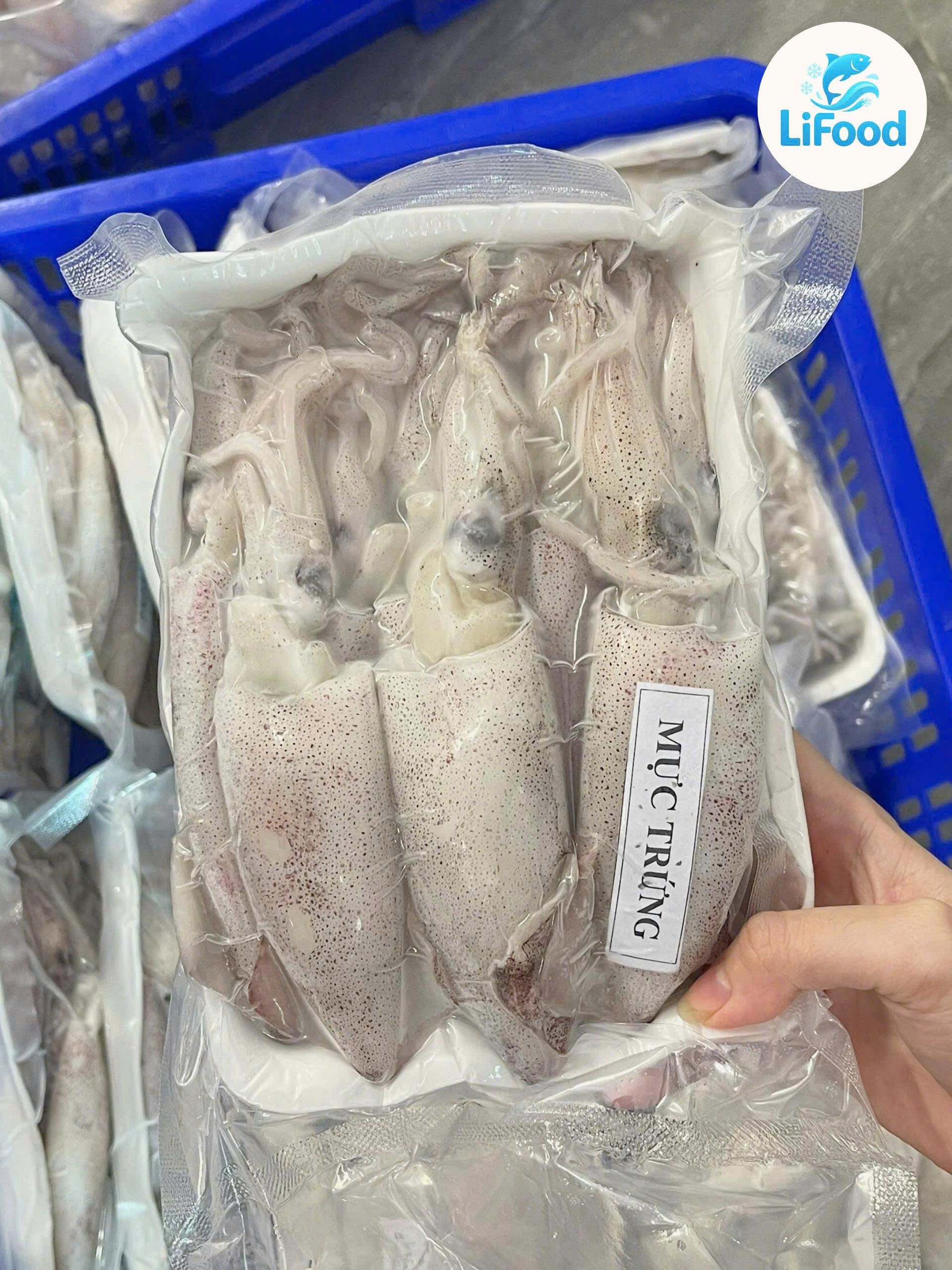 Mực Trứng Chã Sz 14/16 Con LiFood