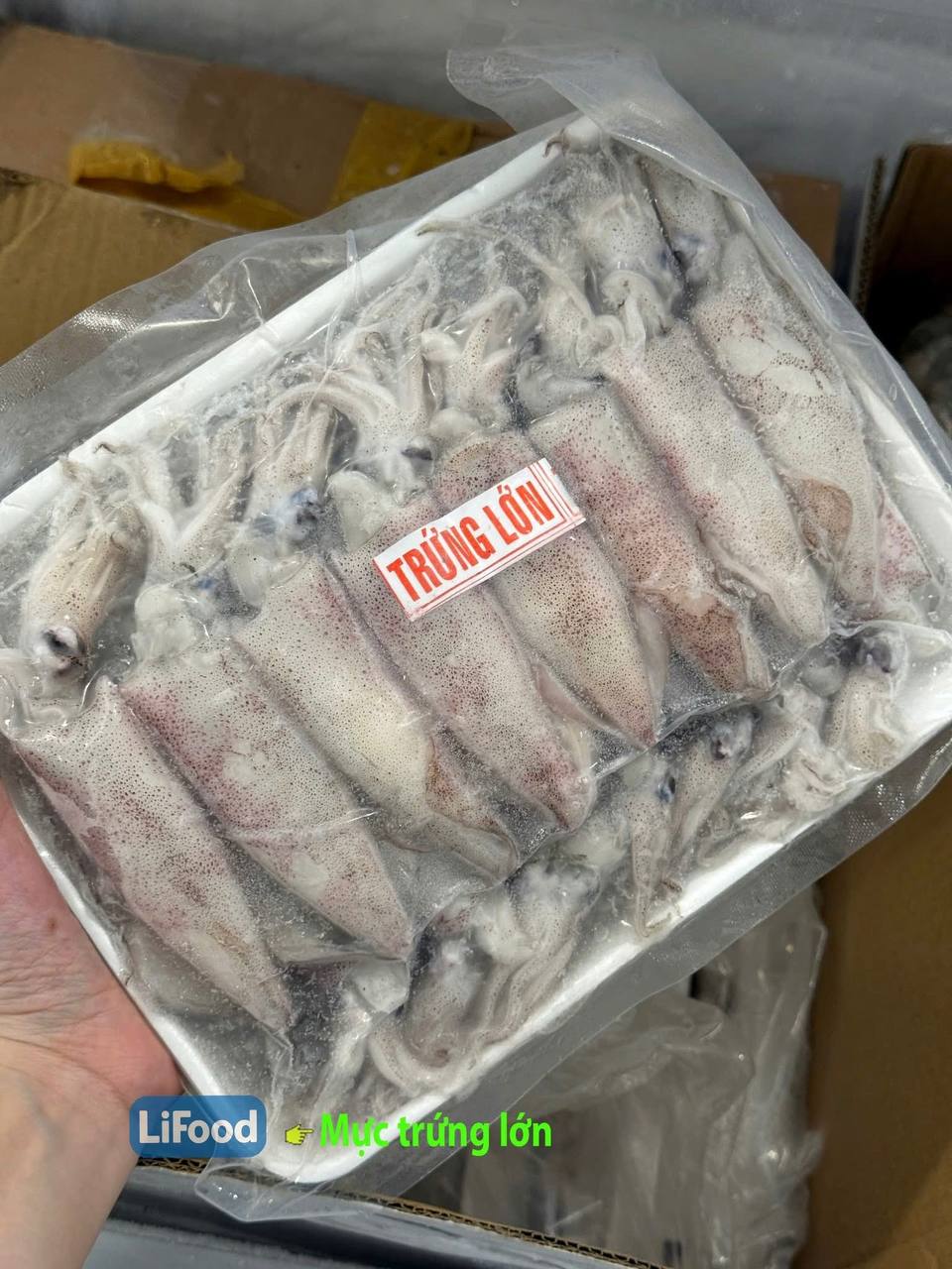 Mực Trứng Lớn