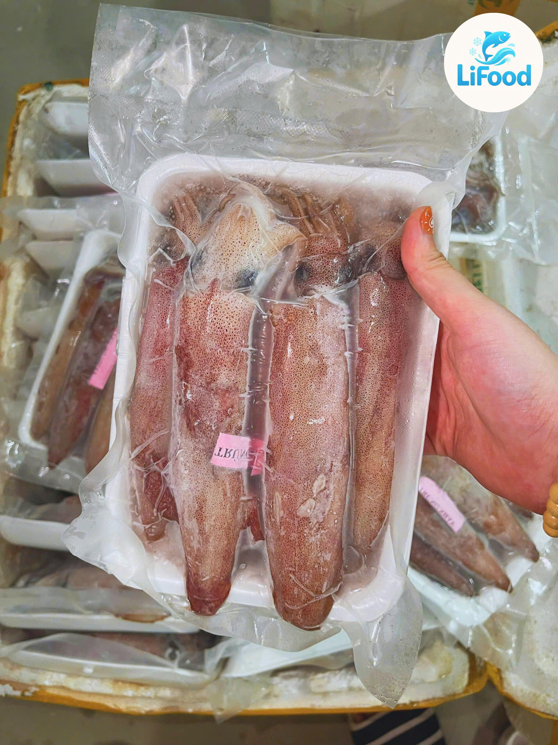 Mực Trứng Nháy Size 10