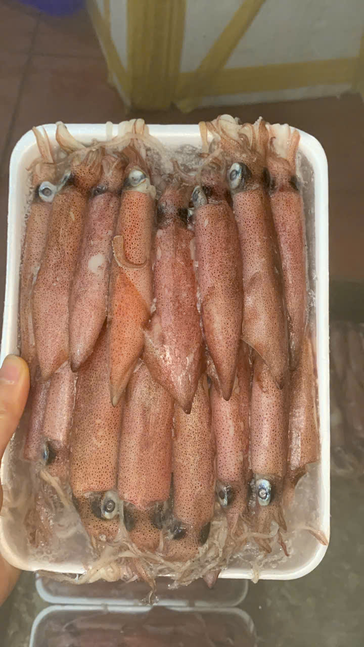 Mực Vỉ Đỏ LiFood – khay 500g