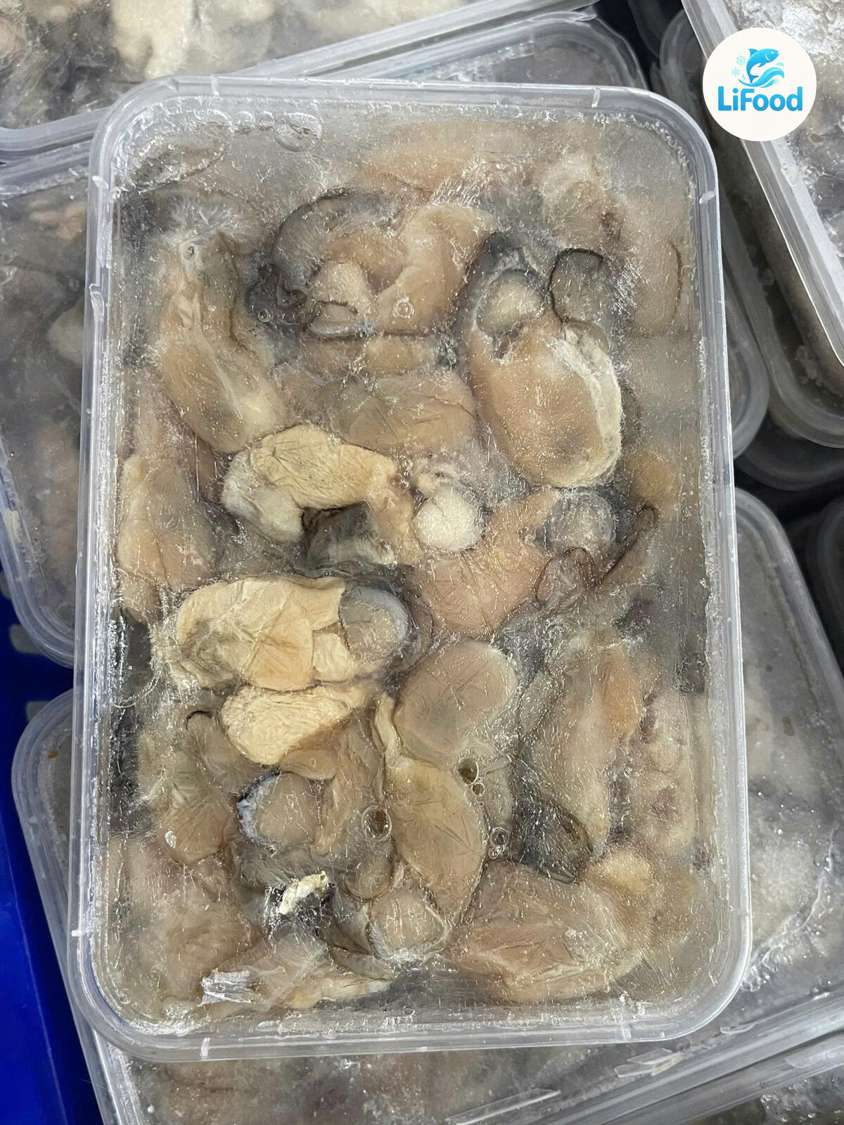 Ruột Hàu Sữa LiFood