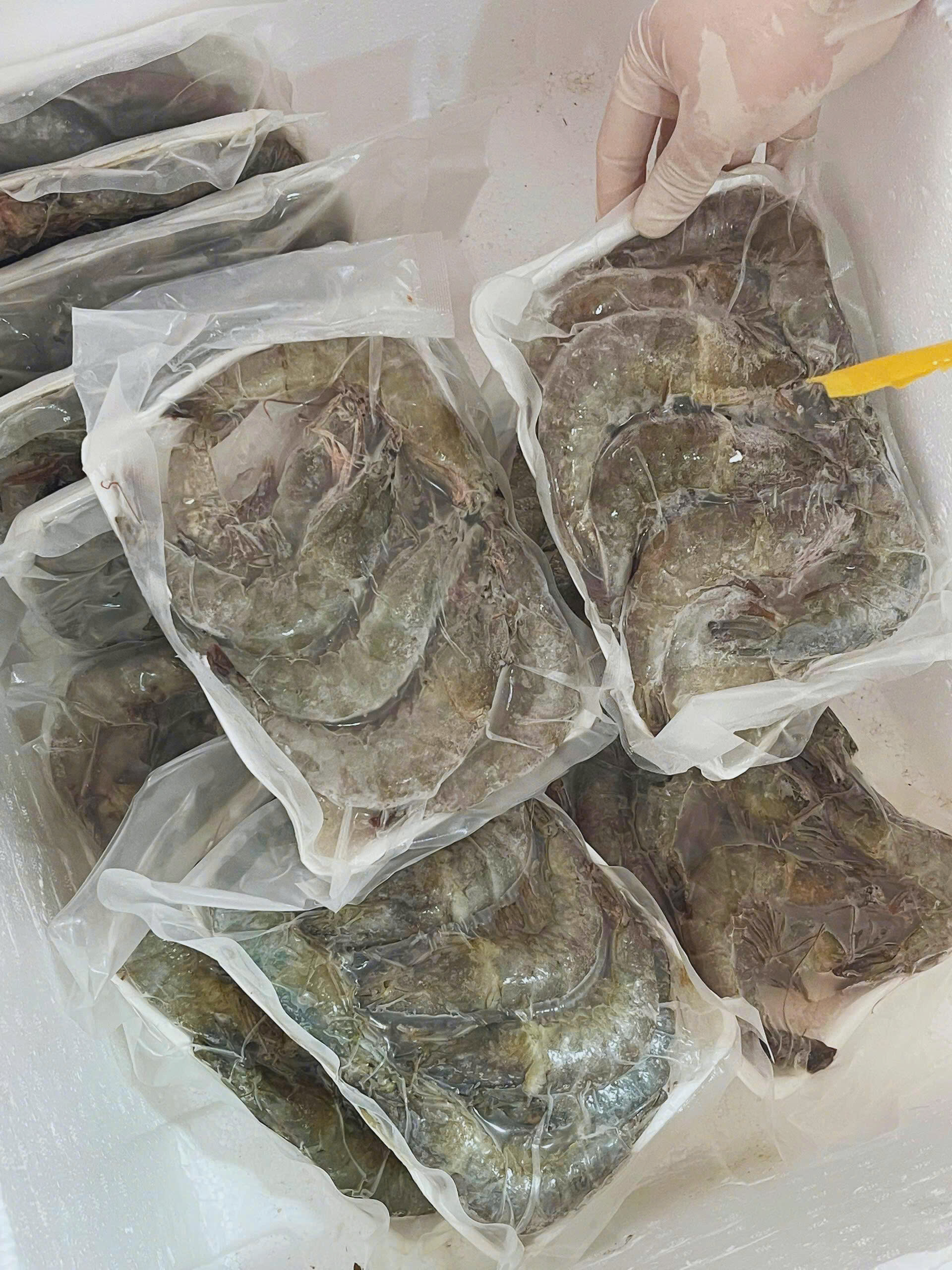 Tôm Lột Size 18/22 Con Net 800G