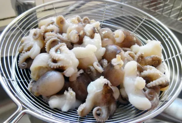 Sơ chế bạch tuộc
