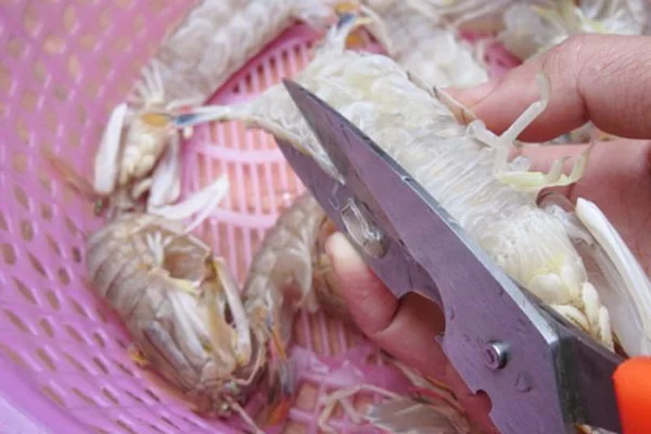 Sơ chế