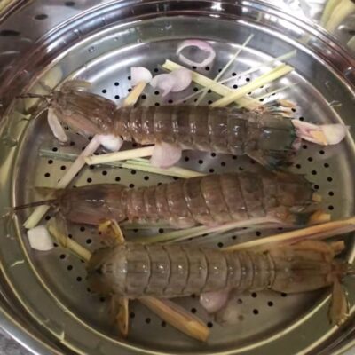 Hấp bề bề