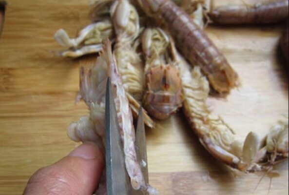 Sơ chế bề bề