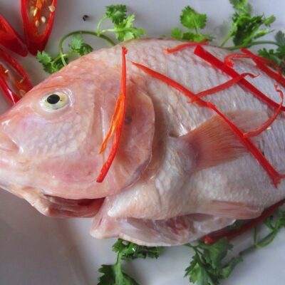Sơ chế cá
