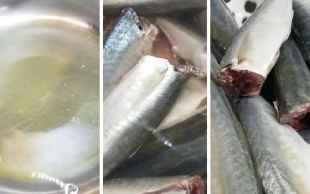 Sơ chế cá: