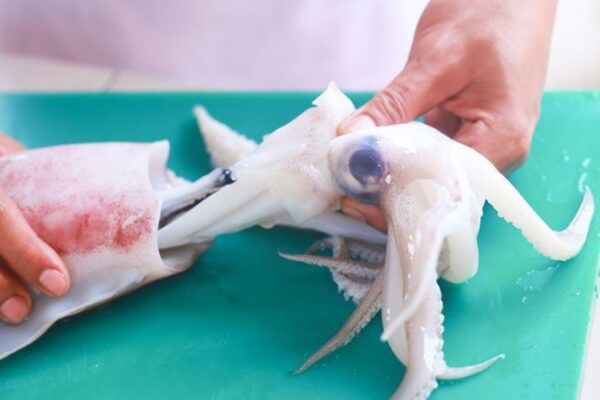 1. Sơ chế mực