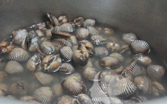 1. Sơ chế sò huyết