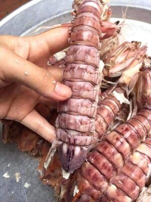 Sơ chế nguyên liệu