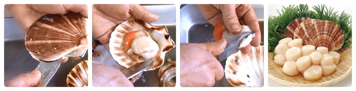 Sơ chế cồi sò điệp