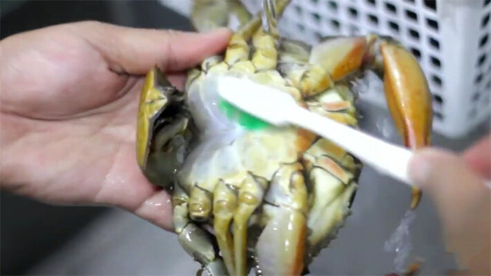 Sơ chế cua