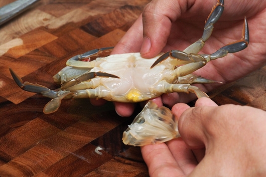 Sơ chế cua lột