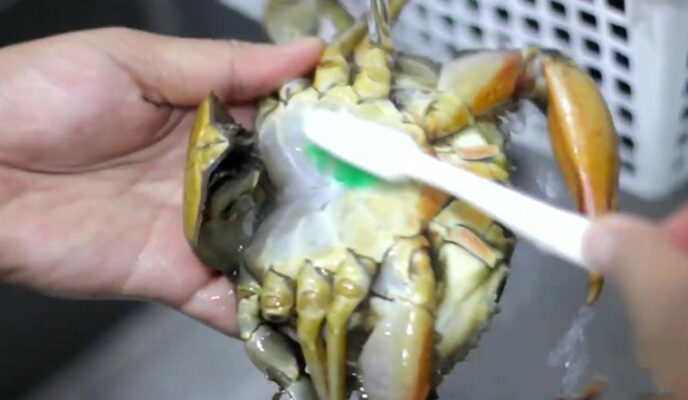 Sơ chế cua