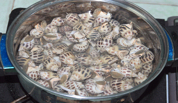 Sơ chế ốc