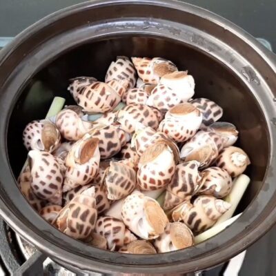 Luộc sơ ốc