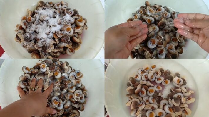 Sơ chế ốc