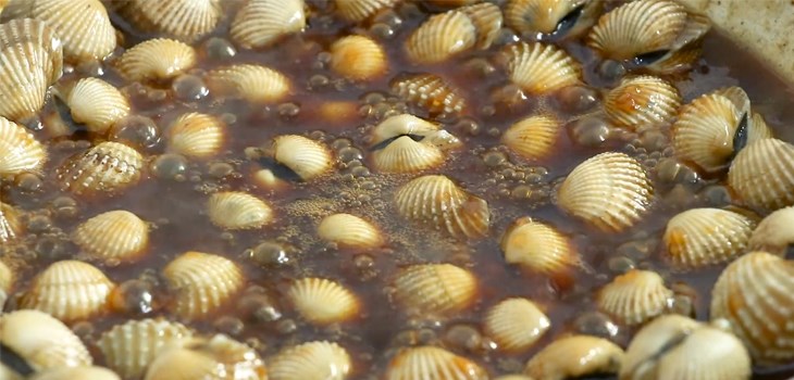 Xào sò huyết